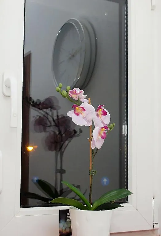 Fancy 2Bd Family Friendly In Historical Centre Netflix View 公寓 布加勒斯特